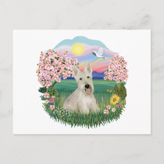 Cartão Postal Flores - Scottish Terrier Wheaten (Frente)