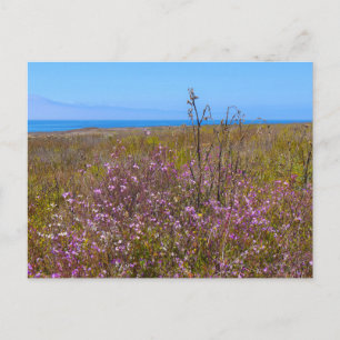Cartão Postal Flores Selvagens