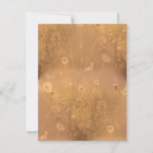 Cartão Postal Flores Selvagens com Brilho Laranja