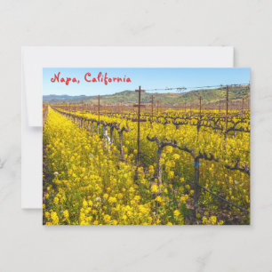 Cartão Postal Flores selvagens do Vineyard