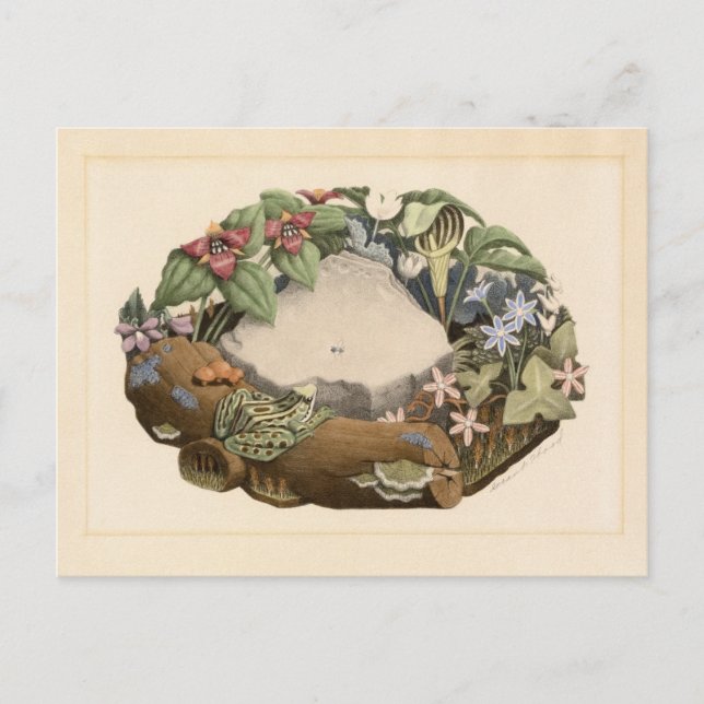 Cartão Postal Flores Selvagens por Grant Wood (Frente)