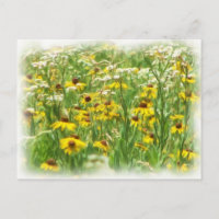 flores silvestres
