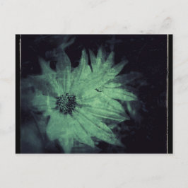 Cartão Postal Flores Silvestres Grunge