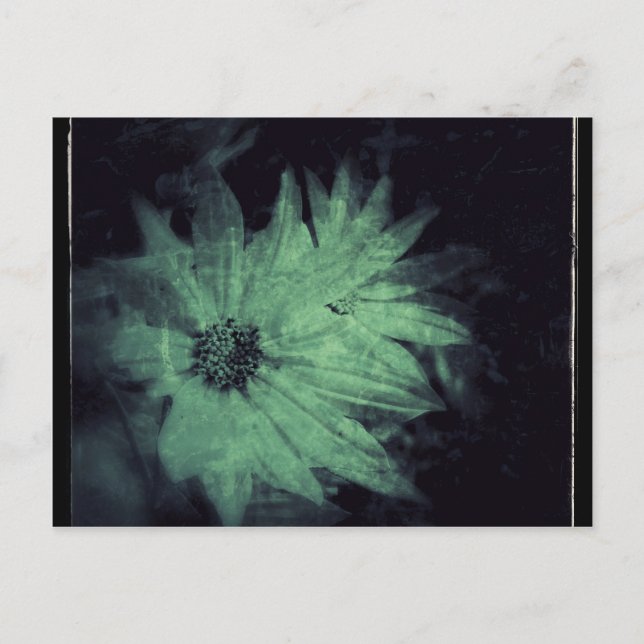 Cartão Postal Flores Silvestres Grunge (Frente)