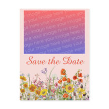 Flores Silvestres Vibrantes