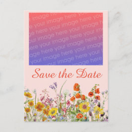 Cartão Postal Flores Silvestres Vibrantes  