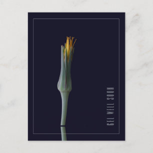 Cartão Postal Flores Simples e Elegantes Personalizadas para Mel