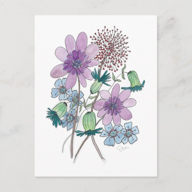 Cartão Postal Flores Também! (Frente)