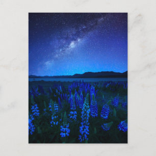 Cartão Postal Flores Tremoço no lago noturno Tekapo