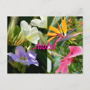 Cartão Postal Flores Tropicais de Kauai Hawaii