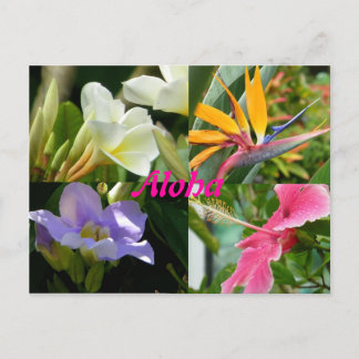Cartão Postal Flores Tropicais de Kauai Hawaii