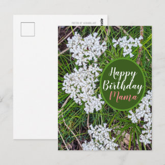 Cartão Postal Flores verdes e brancas frescas Feliz Aniversário 