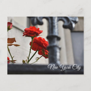 Cartão Postal Flores Vermelhas Feitas Fotografia Nova Iorque de