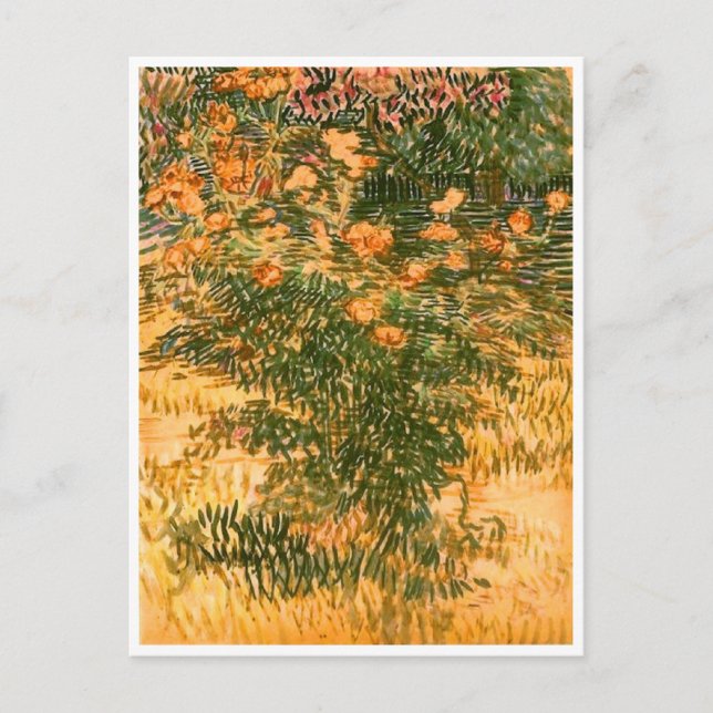 Cartão Postal Flores, Vincent van Gogh (Frente)