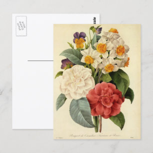 Cartão Postal Flores Vintage, Camellias e Narciso, Redoute