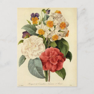 Cartão Postal Flores Vintage, Camellias e Narciso, Redoute