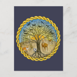 Cartão Postal Floresta