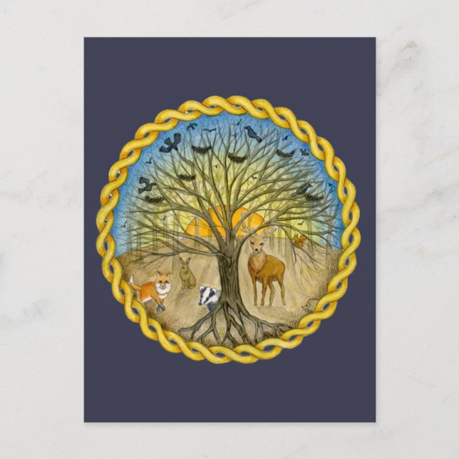 Cartão Postal Floresta (Frente)