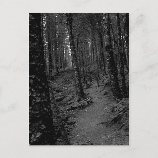 Cartão Postal Floresta (Frente)