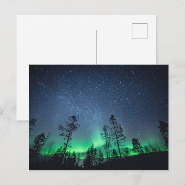 Cartão Postal Floresta Aurora (Frente/Verso)