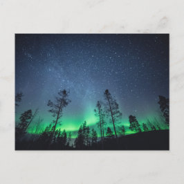 Cartão Postal Floresta Aurora