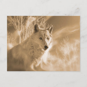 CARTÃO POSTAL FLORESTA BRANCA DE LOBO BRANCO
