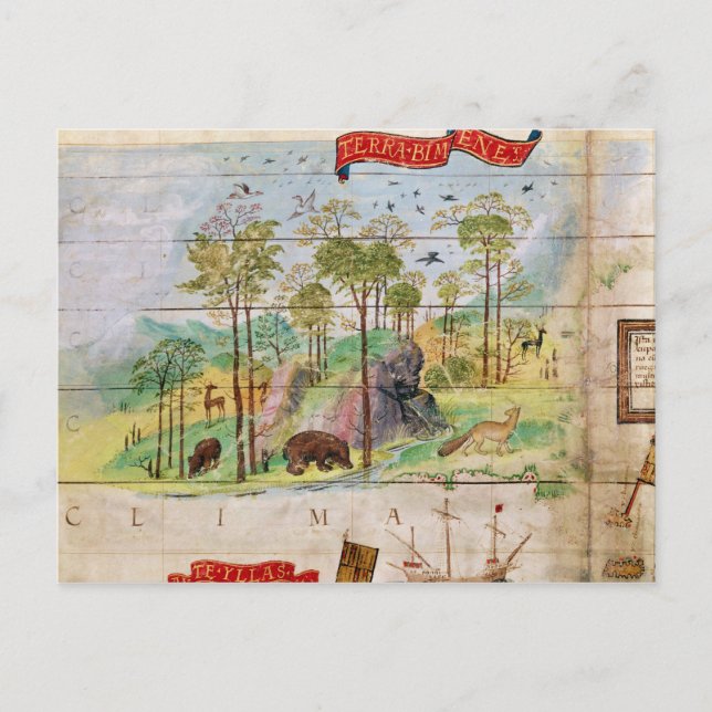 Cartão Postal Floresta Canadiana (Frente)
