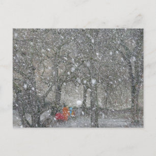 Cartão Postal Floresta da nevasca