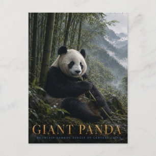 Cartão Postal Floresta de Bambu do Panda Gigante ANIMAIS