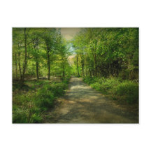 Floresta de Bristol Avon em Primavera.