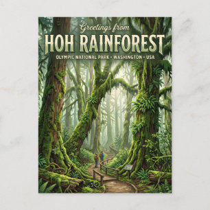 Cartão Postal Floresta de Chuva de Hoh Washington