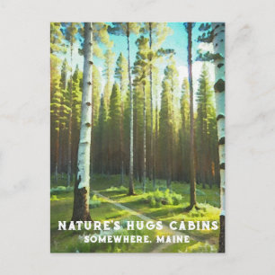 Cartão Postal *~* Floresta de Maine Bétula Evergreens AP49