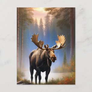 Cartão Postal *~* Floresta de MOOSE AP49 do NSTREAM da Natureza
