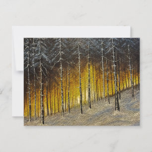 Cartão Postal Floresta de Neve