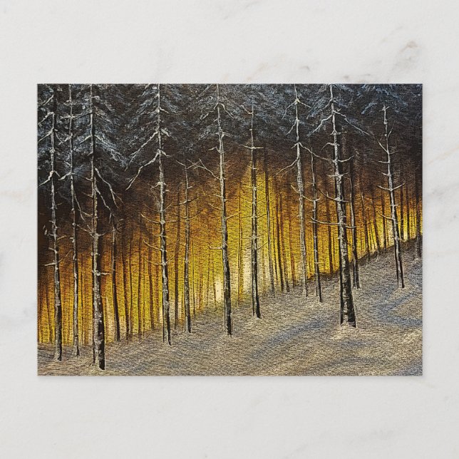 Cartão Postal Floresta de Neve (Frente)