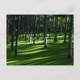 Cartão Postal Floresta de Palmeiras Obrigado