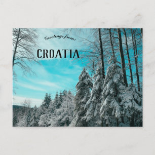 Cartão Postal Floresta De Pinheiro Coberta No Pelotão De Neve, C