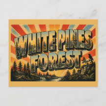 Floresta de White Pines Parque Estadual Illinois P