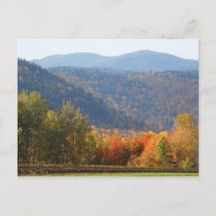 Cartão Postal Floresta do outono de Altos Picos Adirondacks