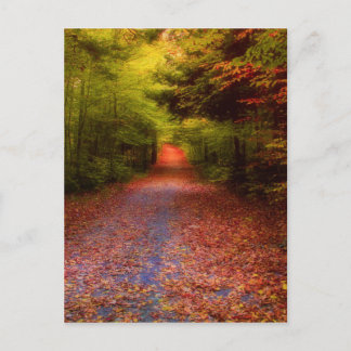 Cartão Postal Floresta do vale