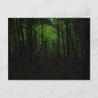 Floresta escura abandonada