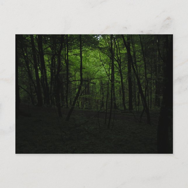 Cartão Postal Floresta escura abandonada (Frente)