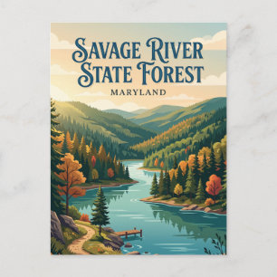Cartão Postal Floresta Estadual de Savage River Maryland