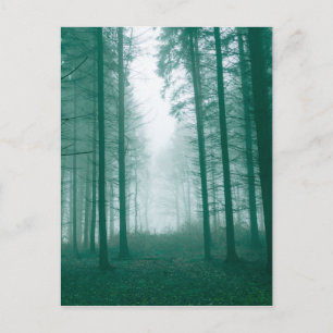 Cartão Postal Floresta fantasma com neblina em verde