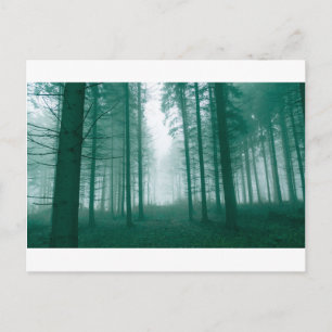 Cartão Postal Floresta fantasma com neblina em verde
