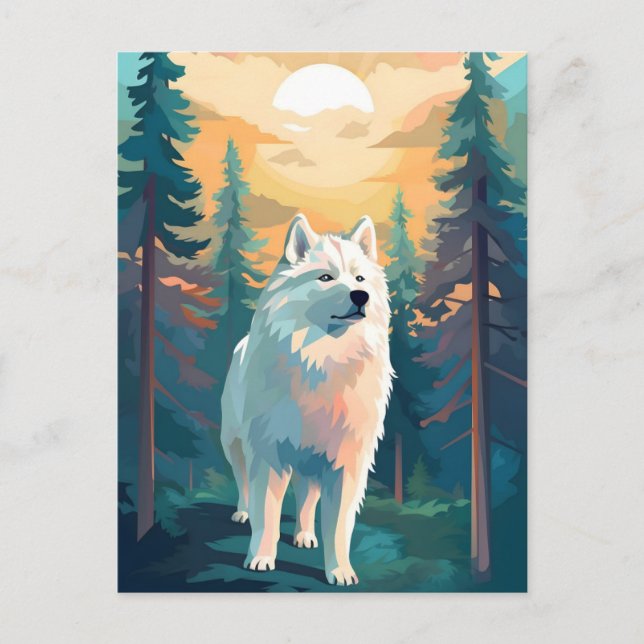 Cartão Postal Floresta montanhosa de inverno samoia durante o pô (Frente)