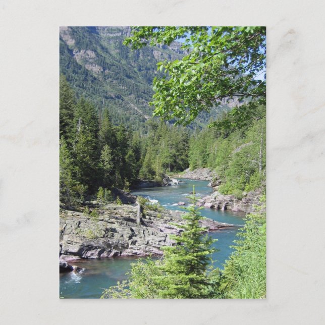 Cartão Postal Floresta Nacional Atatenta (Frente)