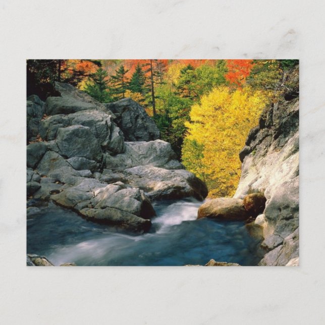 Cartão Postal Floresta Nacional da Montanha Branca, NH (Frente)