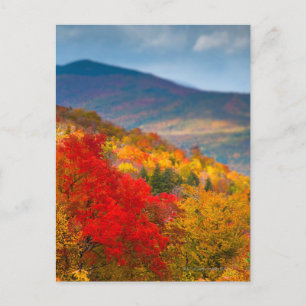 Cartão Postal Floresta Nacional das Montanhas Brancas