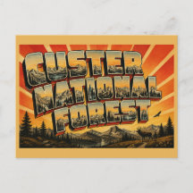 Floresta Nacional de Custer Montana Picos Alpinos